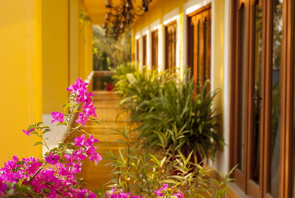 El Encanto Inn & Suites San José del Cabo Exterior foto