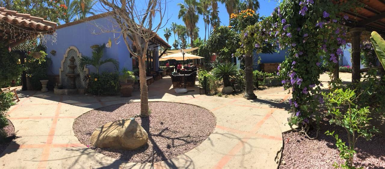 El Encanto Inn & Suites San José del Cabo Exterior foto