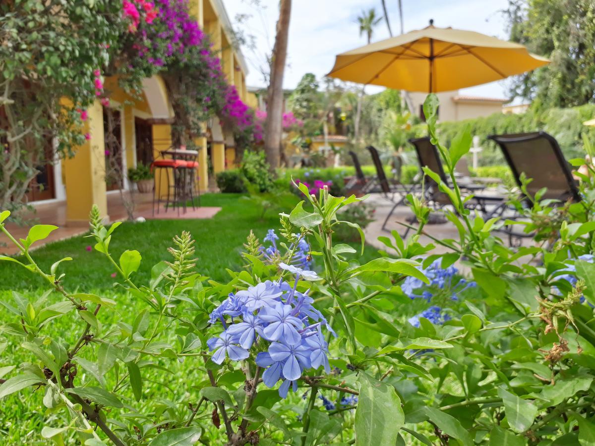 El Encanto Inn & Suites San José del Cabo Exterior foto